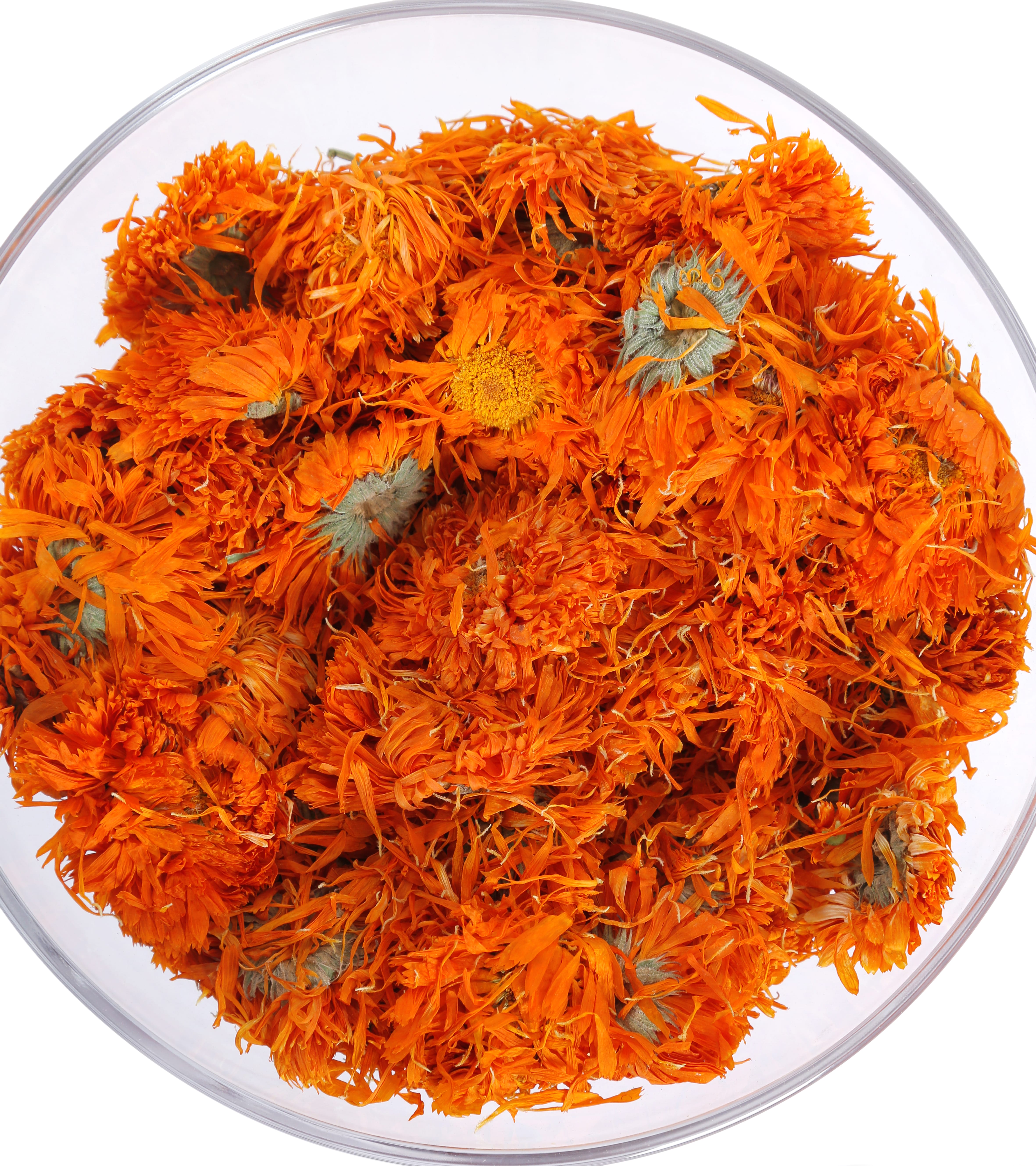 Calendula flower